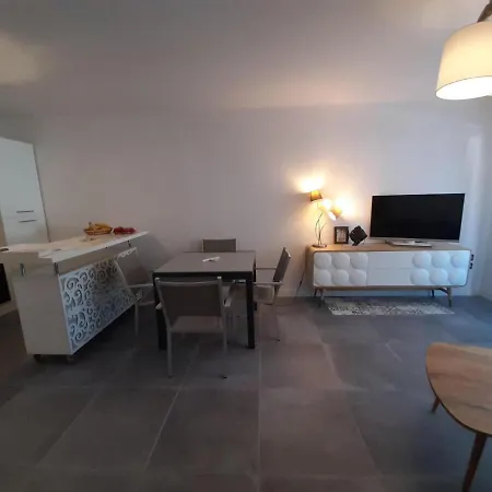De Standing Avec Jardin Privatif, Proche Du Et Du Centre, Parking Inclus - Fr-1-239-583 Apartment